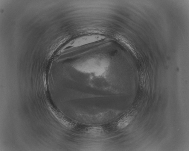 X0000077290398200611031555