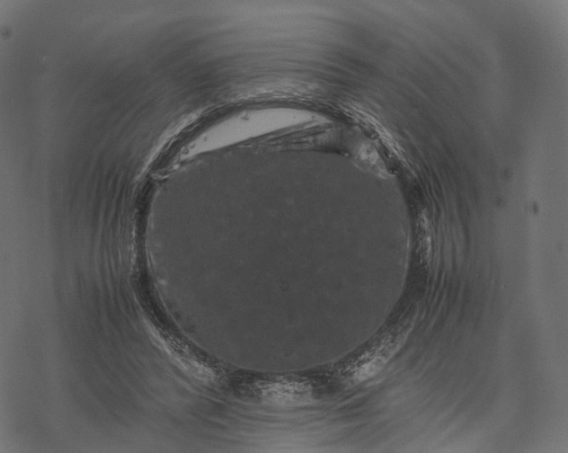 X0000077290400200611031555