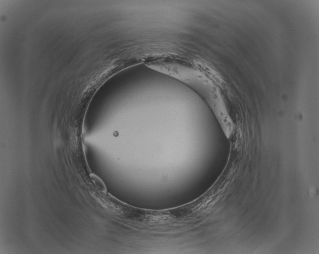 X0000077290401200611031555