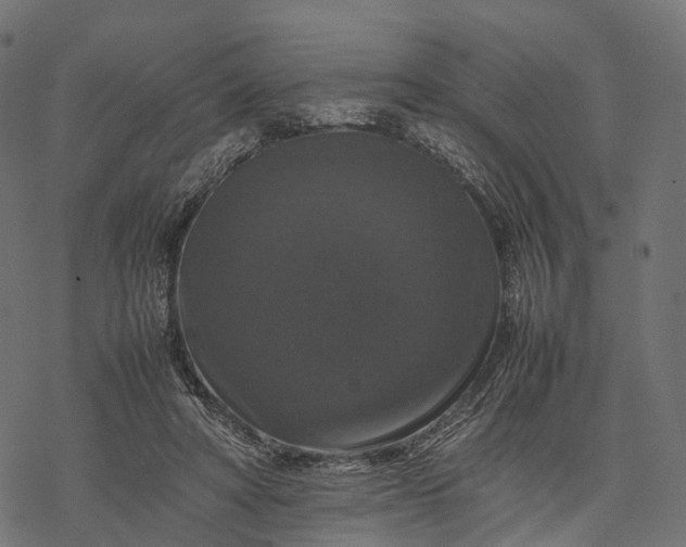 X0000077290402200611031555