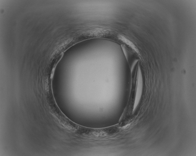 X0000077290403200611031555