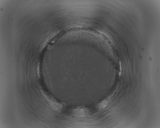 X0000077290404200611031555