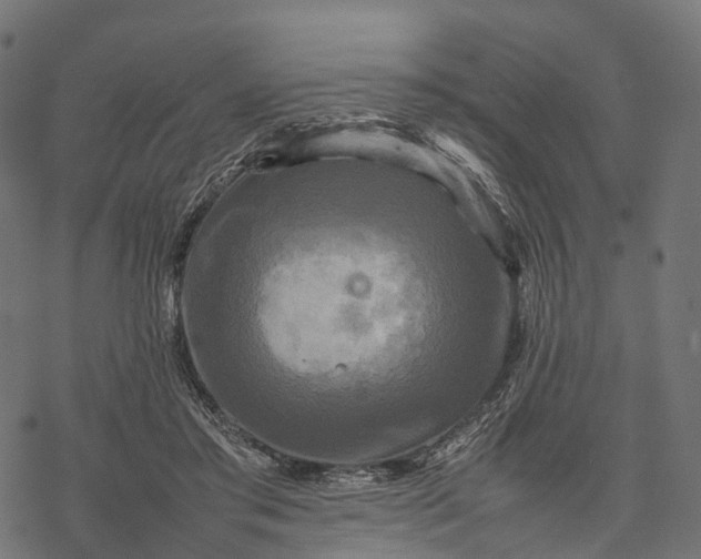 X0000077290405200611031555