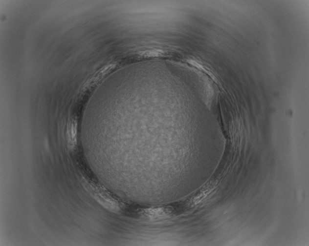 X0000077290406200611031555