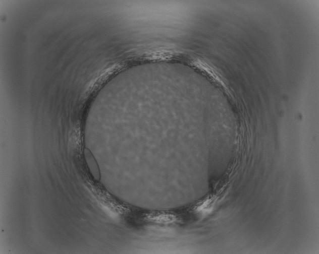 X0000077290407200611031555