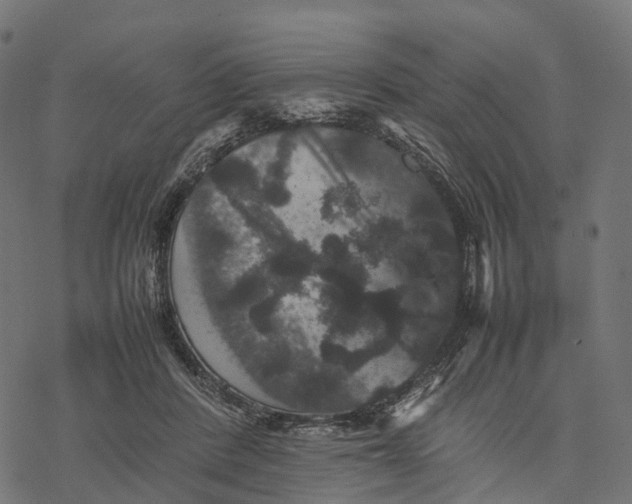 X0000077290408200611031555