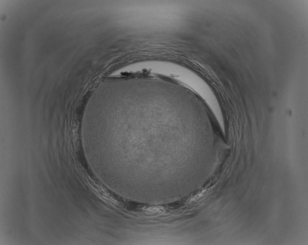 X0000077290409200611031555