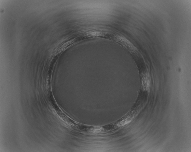 X0000077290410200611031555