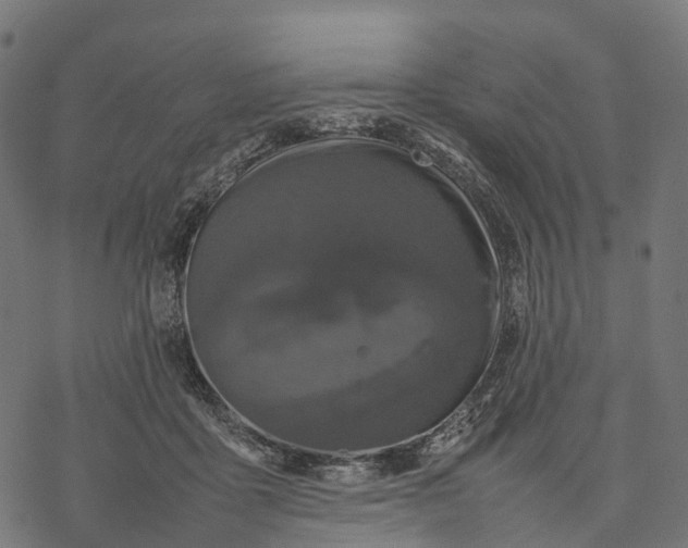 X0000077290411200611031555