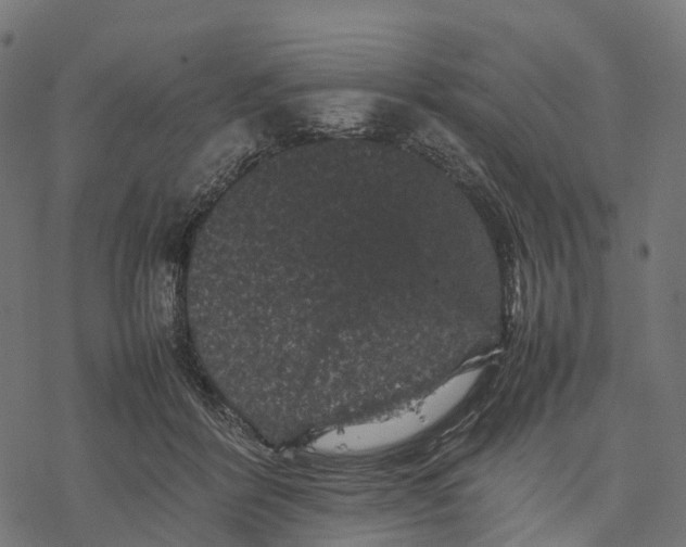 X0000077290412200611031555