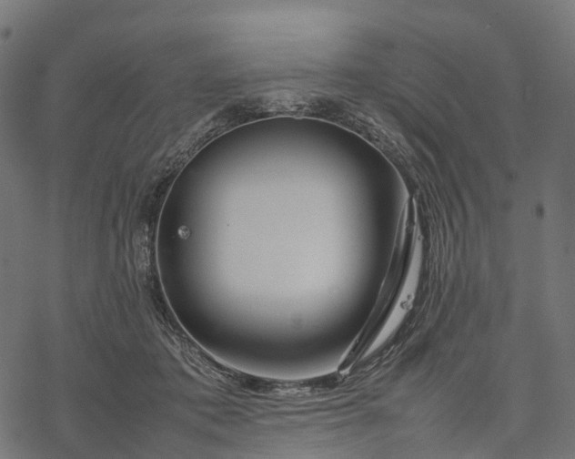 X0000077290413200611031555