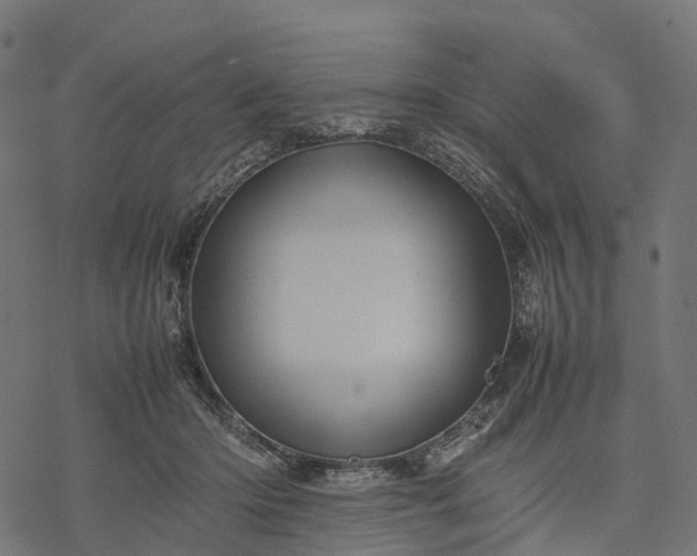 X0000077290414200611031555