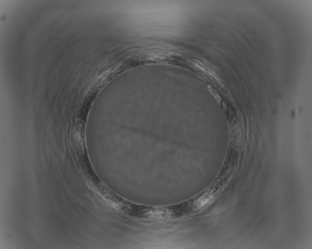 X0000077290415200611031555