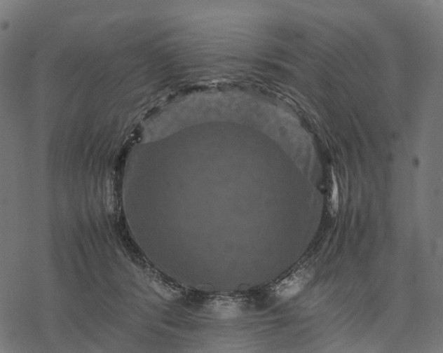 X0000077290416200611031555