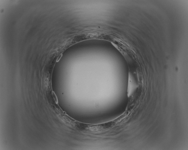 X0000077290417200611031555