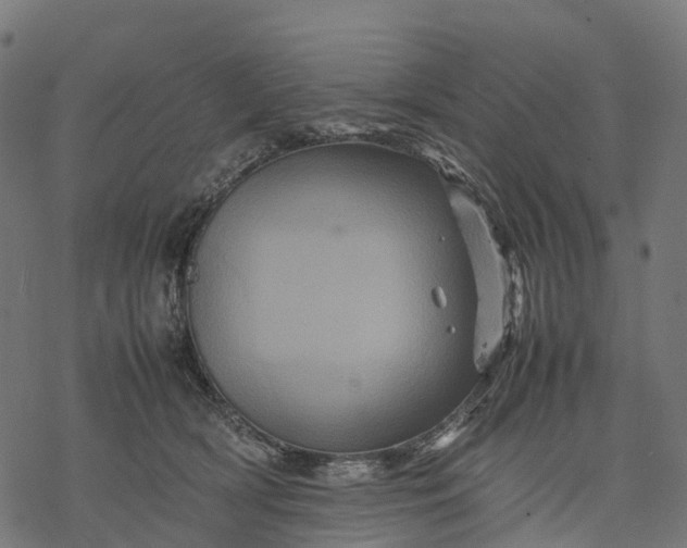 X0000077290418200611031555