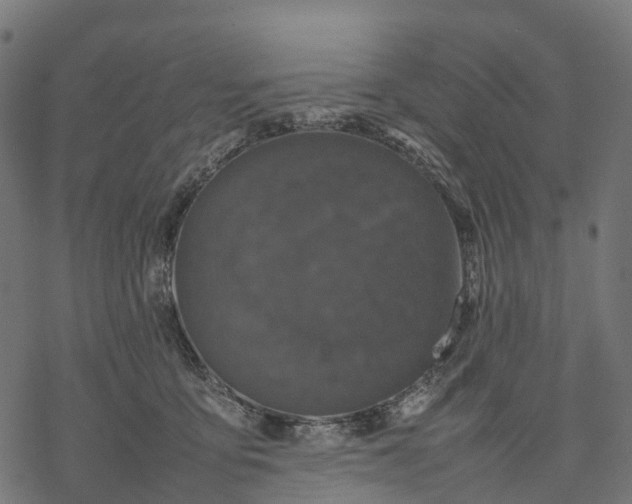 X0000077290419200611031555