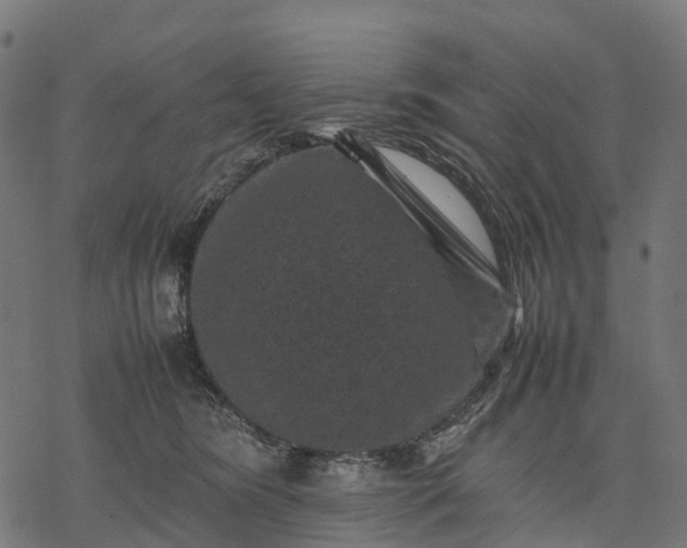 X0000077290420200611031555