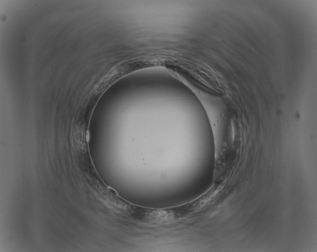 X0000077290421200611031555