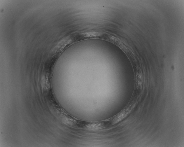 X0000077290422200611031555