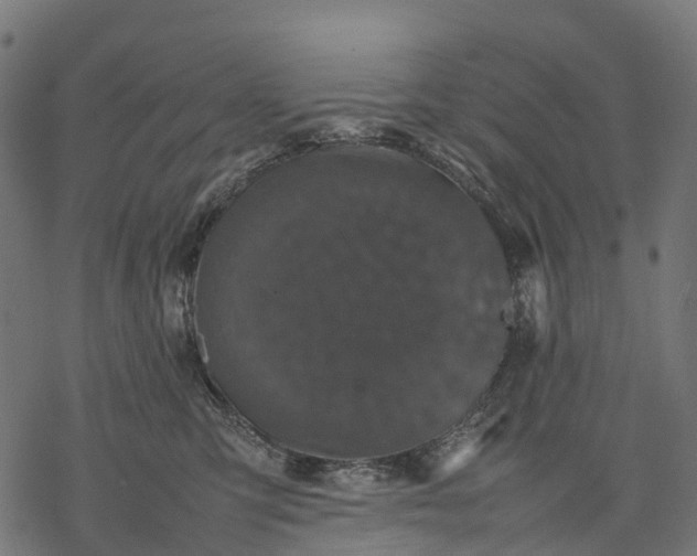 X0000077290423200611031555