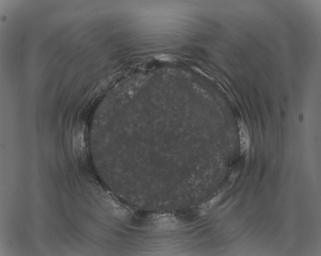 X0000077290424200611031555