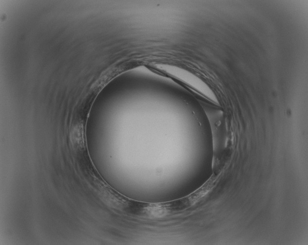 X0000077290425200611031555