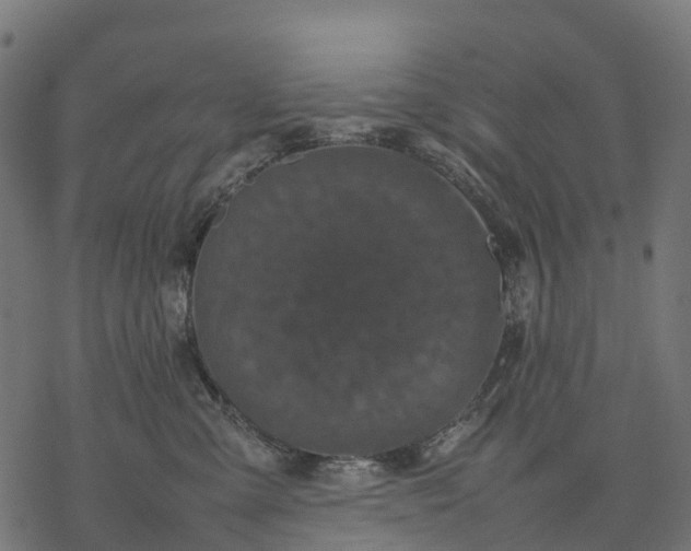 X0000077290427200611031555