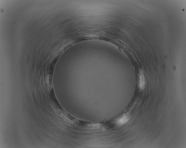 X0000077290428200611031555