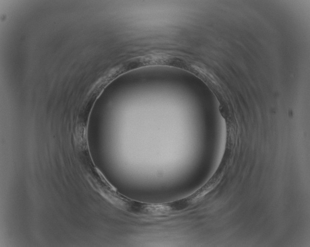 X0000077290429200611031555