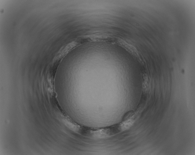 X0000077290430200611031555