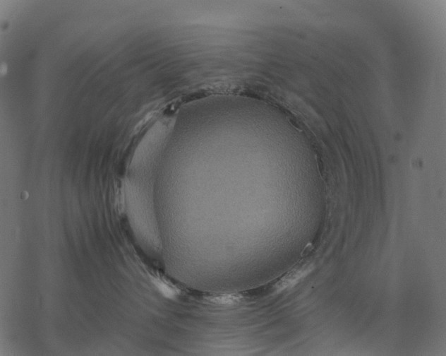 X0000077290432200611031555