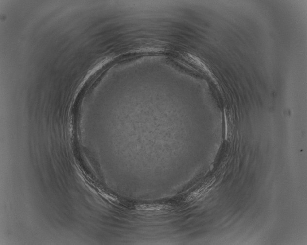 X0000077290435200611031554