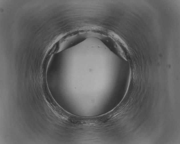 X0000077290436200611031554