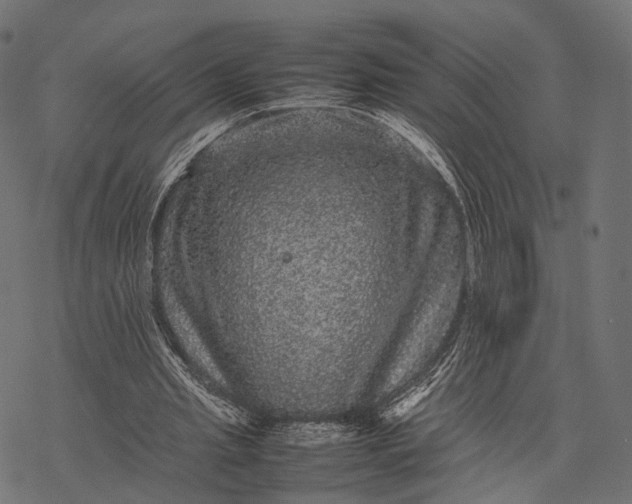 X0000077290437200611031554