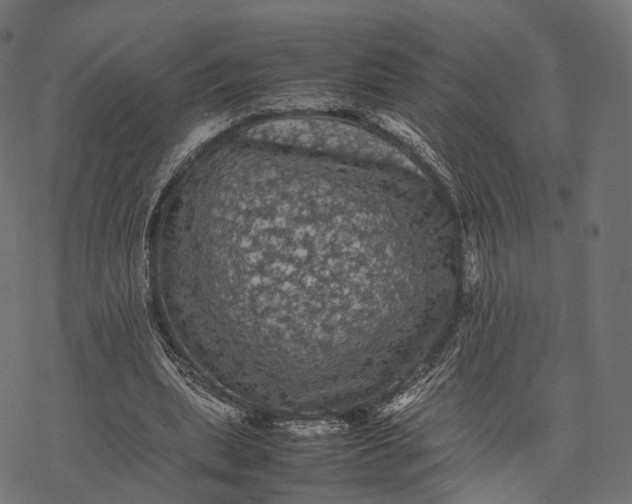 X0000077290439200611031554