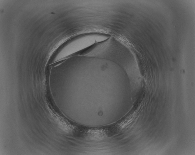 X0000077290440200611031554