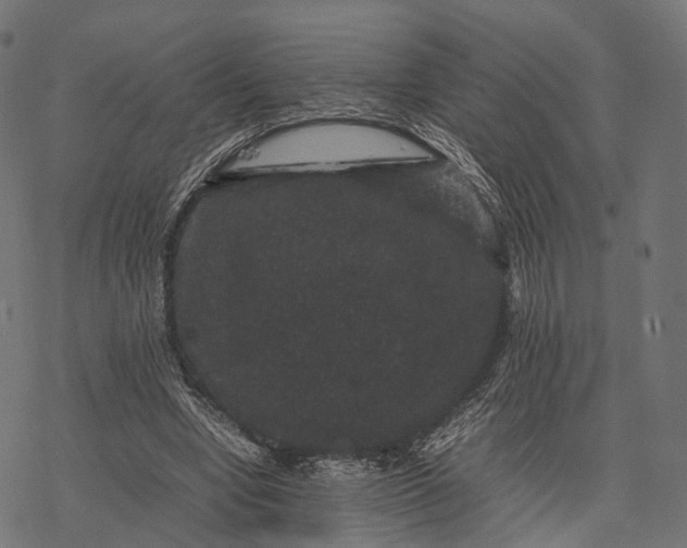 X0000077290442200611031554