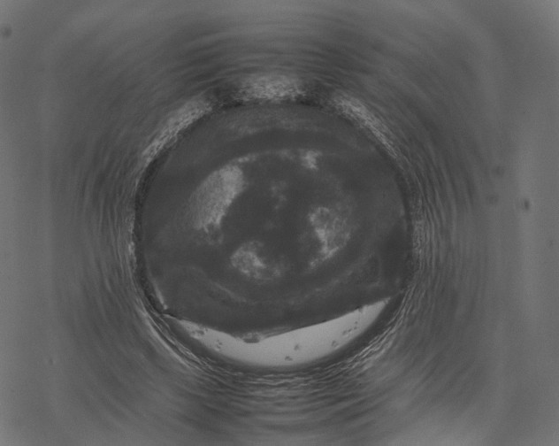 X0000077290443200611031554