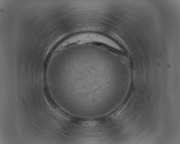 X0000077290444200611031554