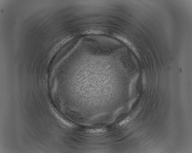 X0000077290445200611031554