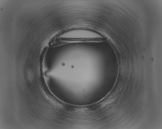 X0000077290446200611031554