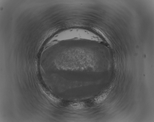 X0000077290447200611031554