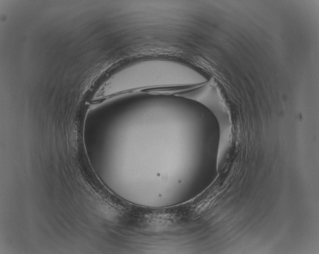 X0000077290448200611031554