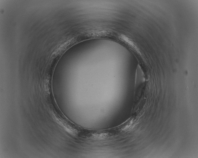 X0000077290450200611031554