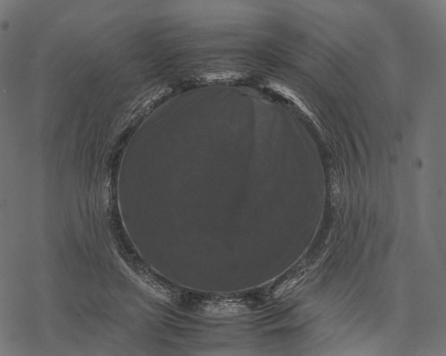 X0000077290451200611031554