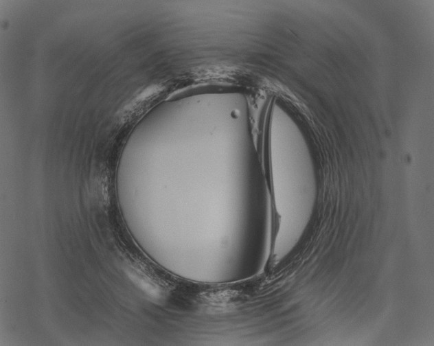 X0000077290452200611031554