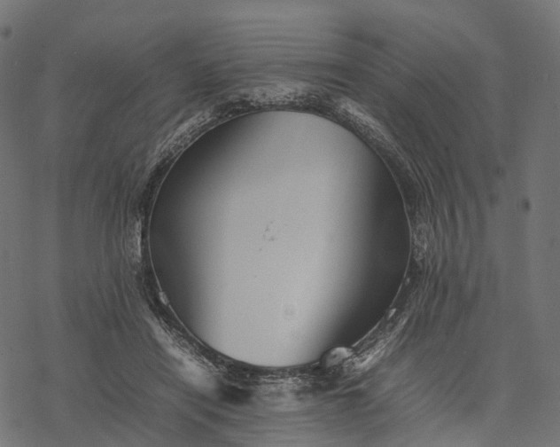 X0000077290454200611031554