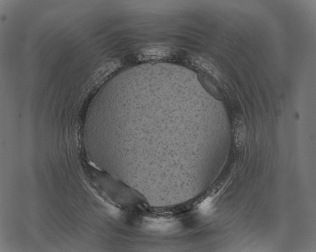 X0000077290455200611031554