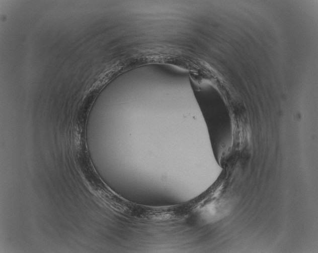 X0000077290456200611031554